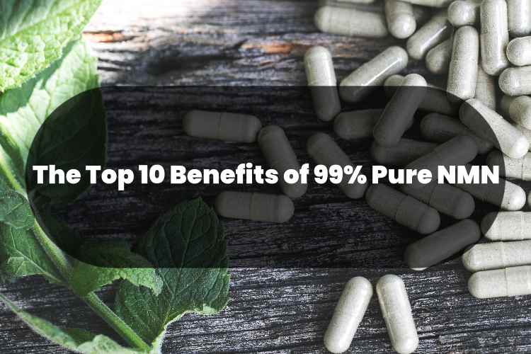 1719301414545620.jpg Top 10 Benefits of 99% NMN.jpg