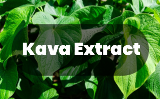 Kava Extract &ndash; The Superior Choice for Natural Skincare